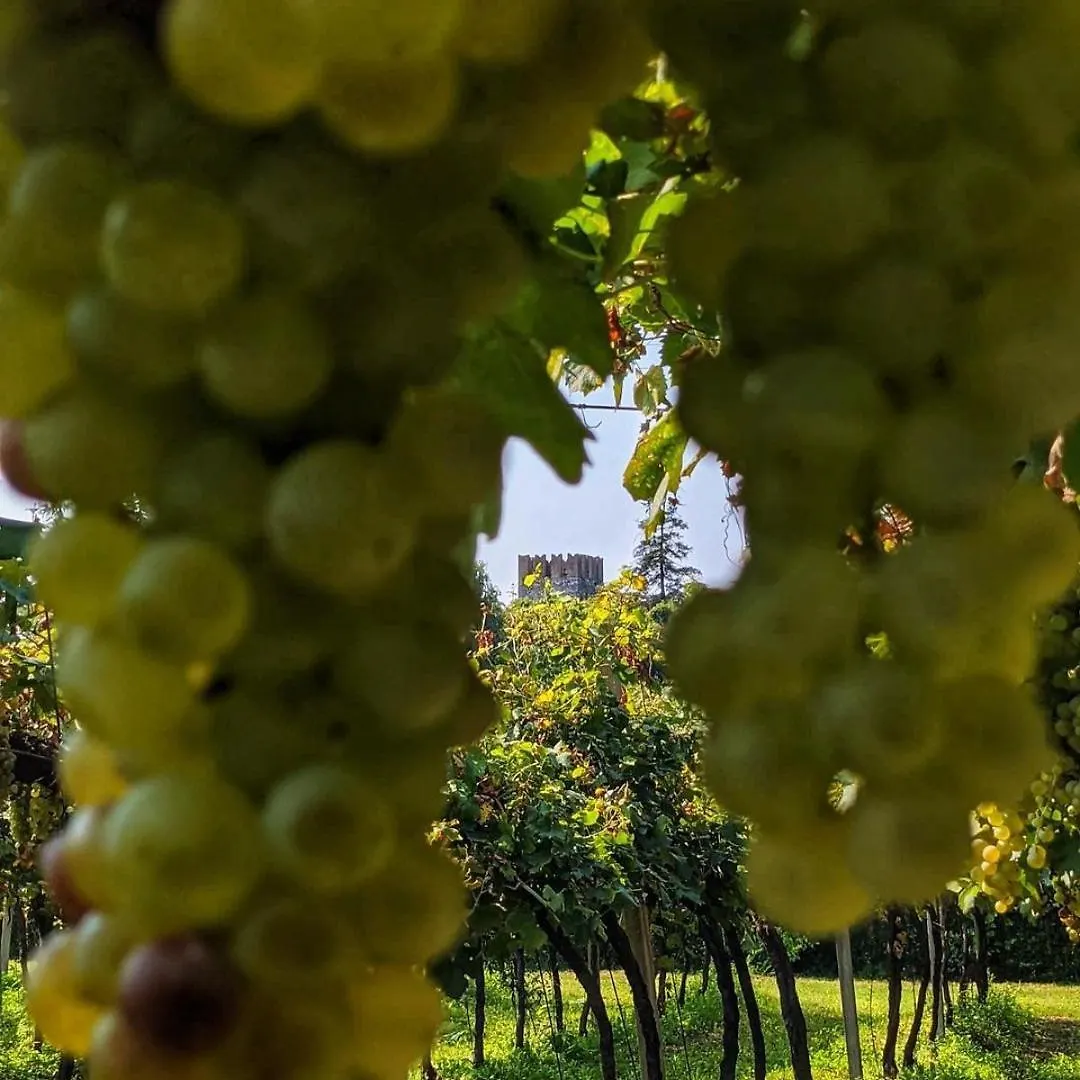 Natiia Relais - Adults Only Hotel Lazise