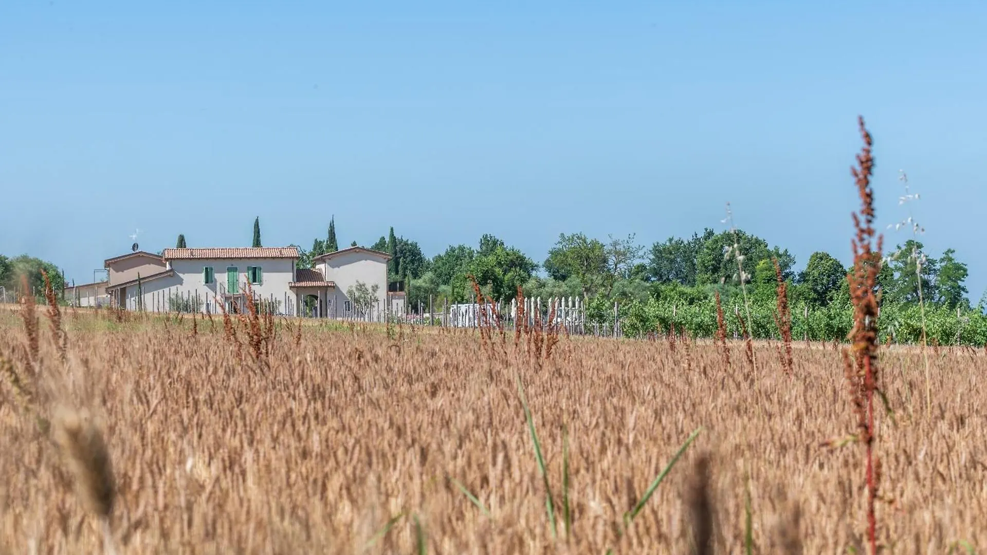Natiia Relais - Adults Only Hotel Lazise